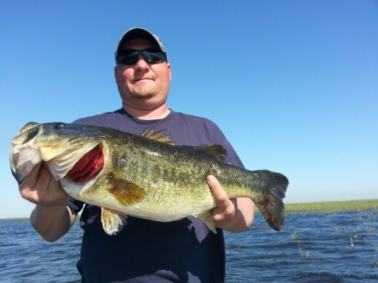 steve-panas-3-6-roger