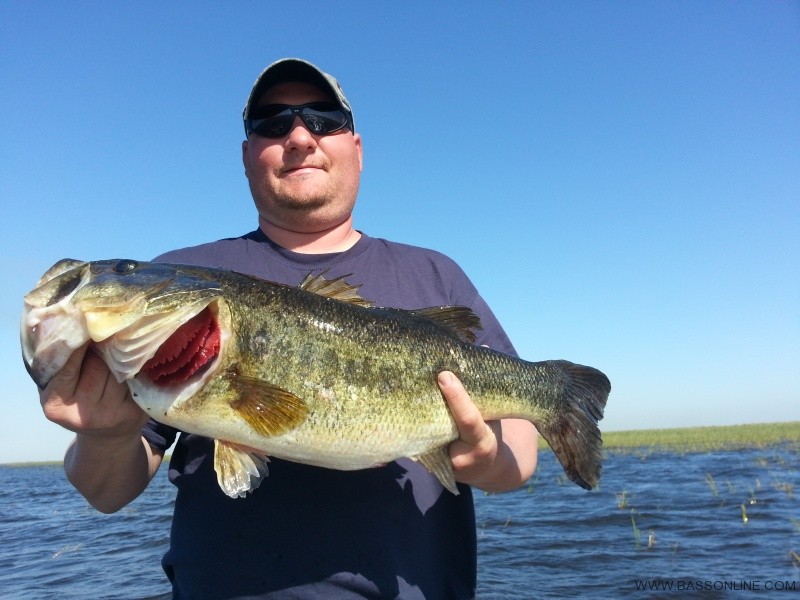 steve-panas-3-6-roger