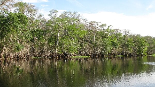 Apalachicola River