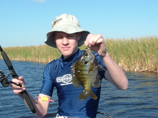 Young angler holding a bluegill on a boat near shoreline reeds
