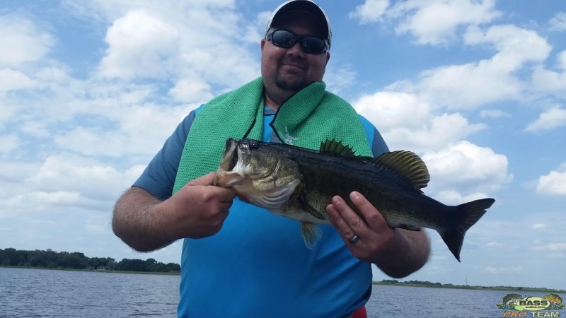 Keeping the shiners fresh really seems to help