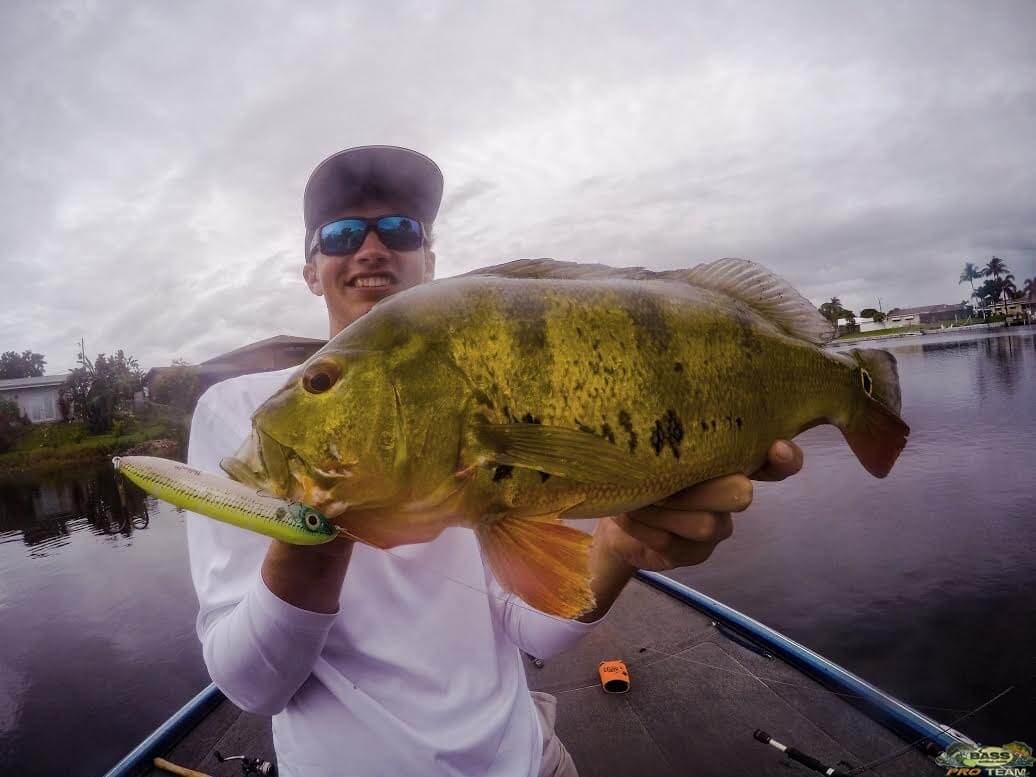 Peacock Bass Fishing Trip