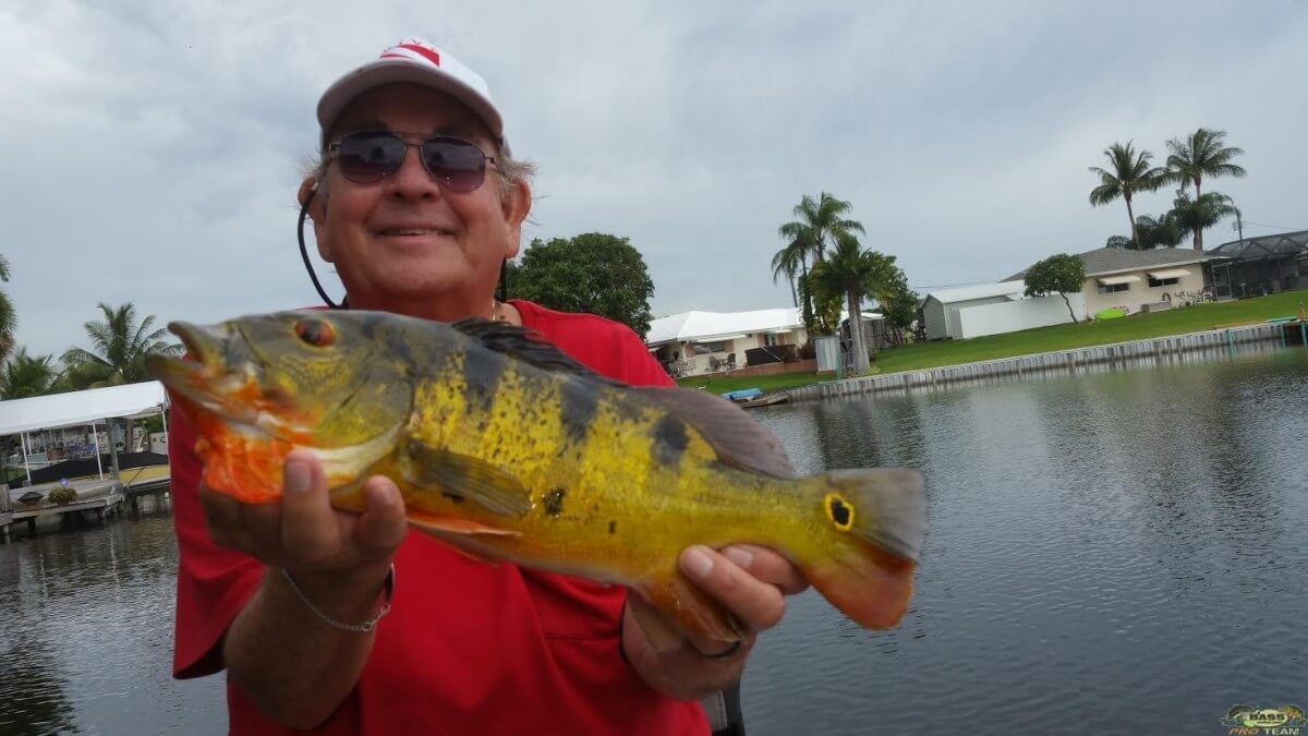 Overcast On Lake Ida Fishing For Peacock Bass