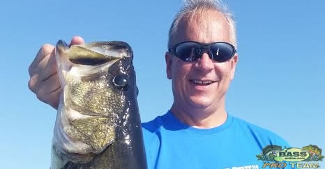 Big Numbers of Largemouth Bass In Lake Toho