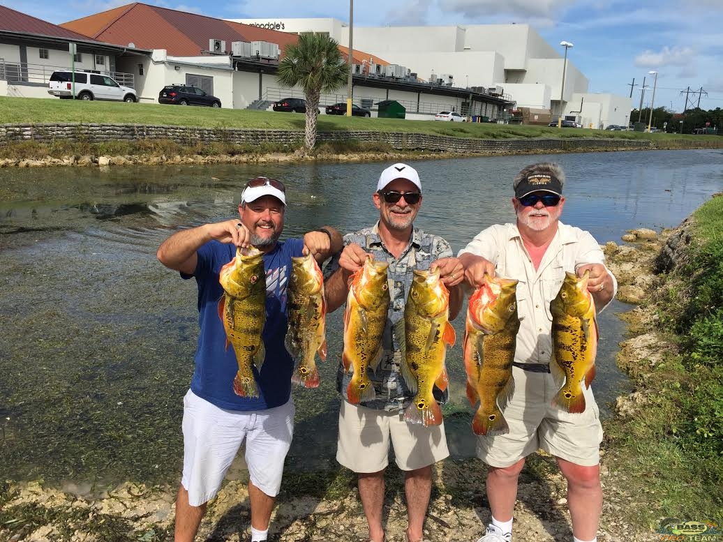 Kelly Group Peacock Bass Fishing Trip