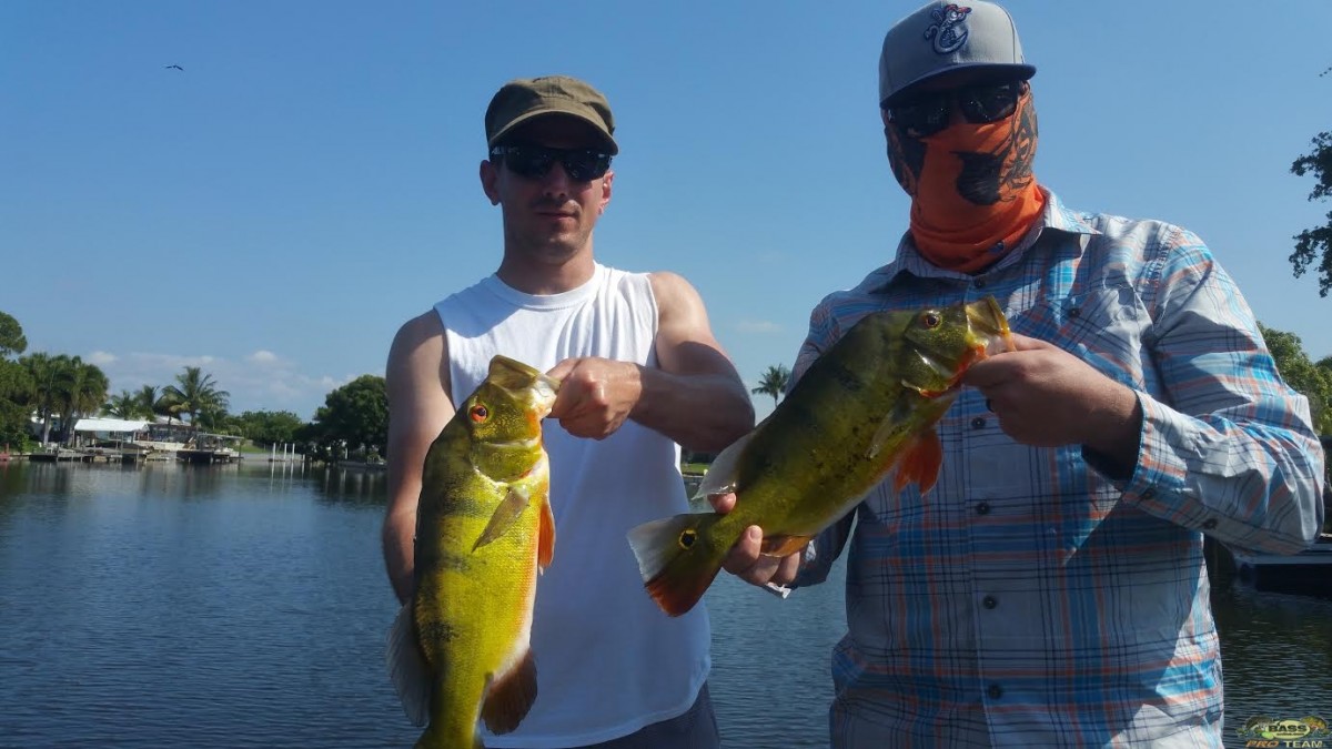 Peacock Bass Fishing Casting Accuracy