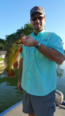 Peacock Bass Fishing At The Airport Lakes