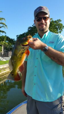 Peacock Bass Fishing At The Airport Lakes