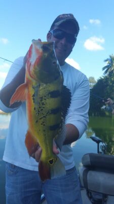 Peacock Bass Fishing At The Airport Lakes
