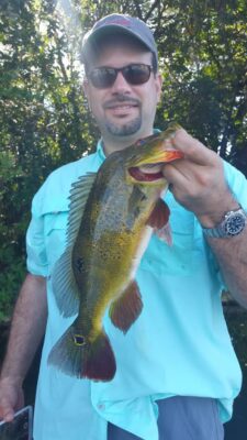 Peacock Bass Fishing At The Airport Lakes