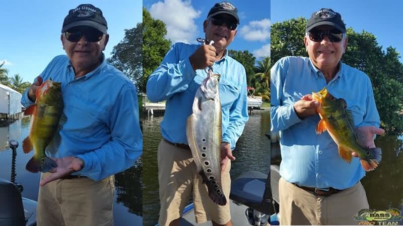 Clown knife Fish Caught in South Florida
