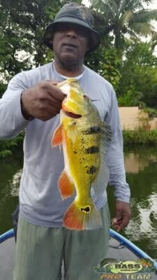 Peacock Bass Fishing In The Blue Lagoon