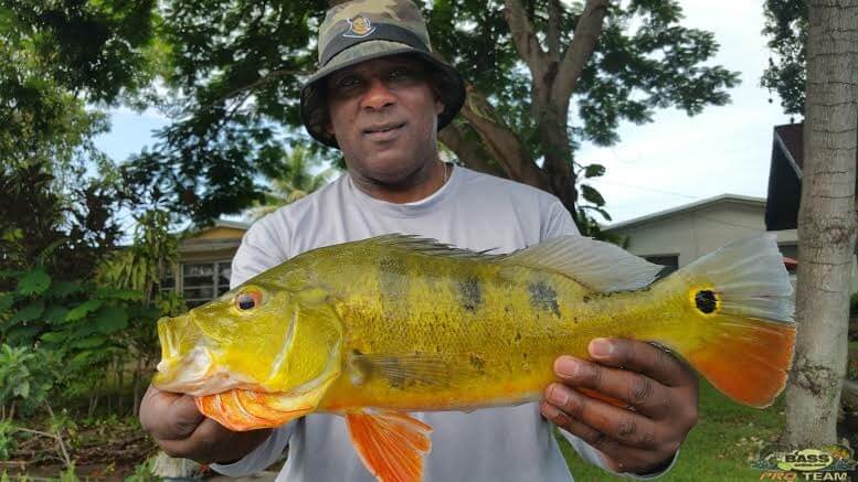 Peacock Bass Fishing In The Blue Lagoon