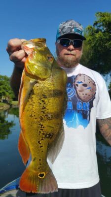 Peacock Bass Fishing At The Falls With Capt Robert