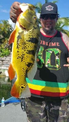 Peacock Bass Fishing At The Falls With Capt Robert