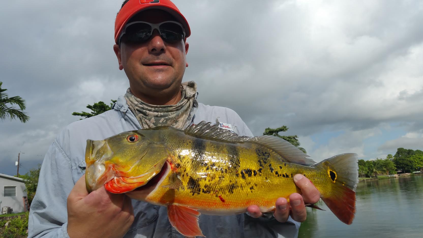 Using Topwater In The Blue Lagoon