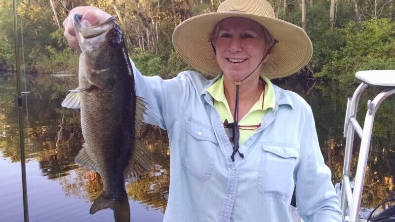 After the Storms On The St Johns River