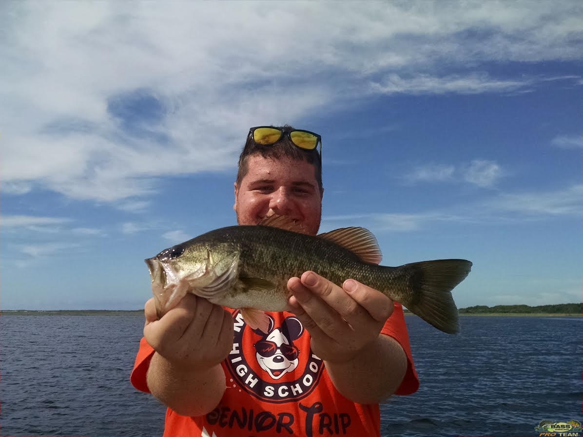 An Old Bait Comes To The Rescue On Lake Toho