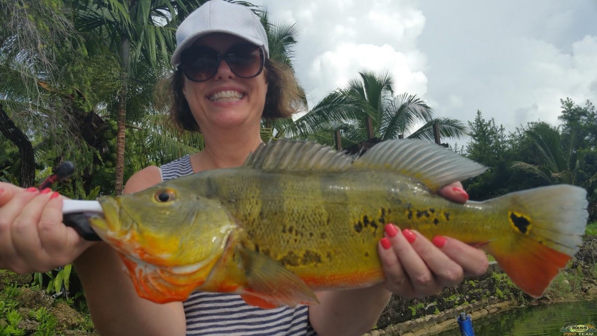 Peacock Bass Are Deep Down At The Blue Lagoon