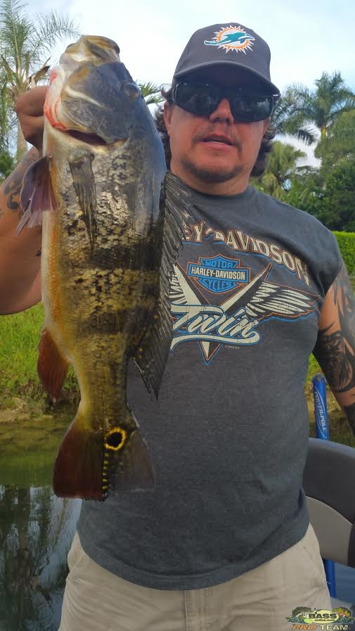 Miami Peacock Bass Fishing