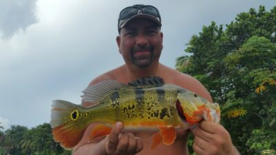 Peacock Bass At the Falls