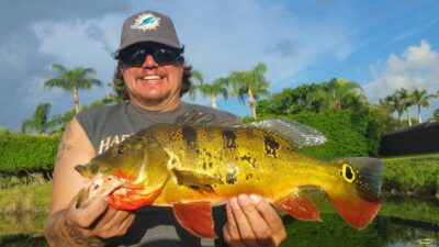 Miami Falls Peacock Bass Fishing