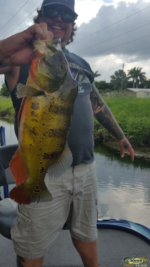 Peacock Bass Fishing