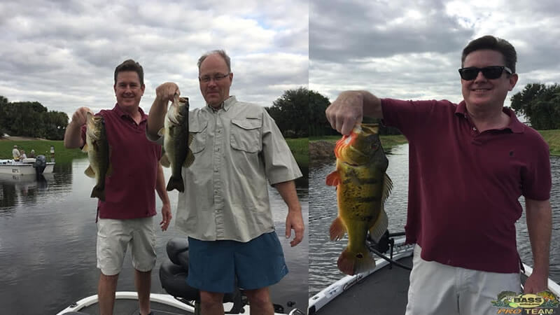 Peacock Bass Fishing With Capt Wayne Fellows