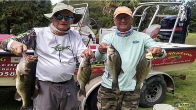 St. Johns River Striped Bass Fishing: Seasons, Spots & Tips