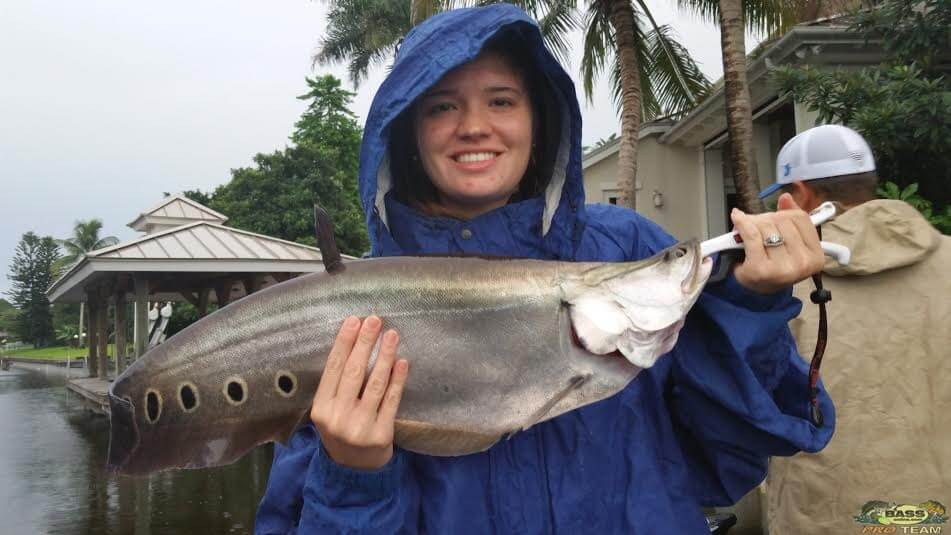 Peacock Bass Fishing 3 Boat Trip On Lake Ida