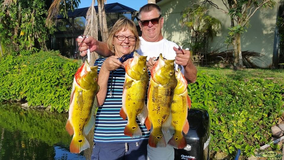 Miami Peacock Bass Fishing With Capt Robert
