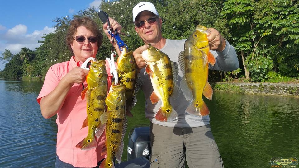 Miami Peacock Bass Fishing At The Blue Lagoon