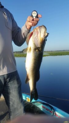 Big Fish Today was 10 lbs 9 oz