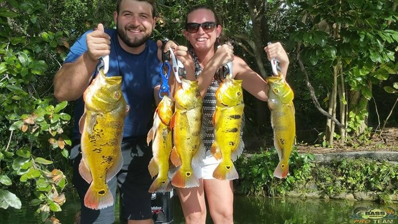 South Florida Peacock Bass Fishing Charter