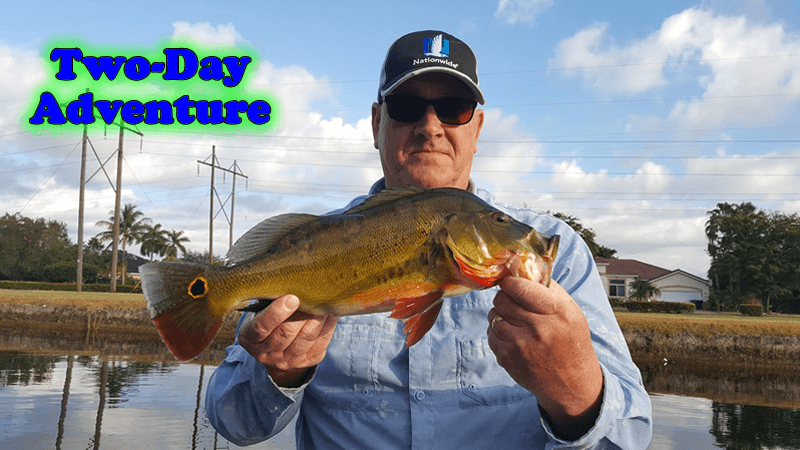 Two-Day Miami Peacock Bass Fishing Adventure- BassOnline 1 Miami Peacock Bass Fishing Adventure