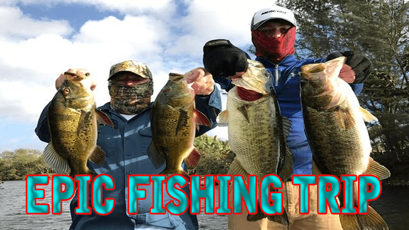 Largemouth & Peacock Bass Fishing Golden Gate Canals