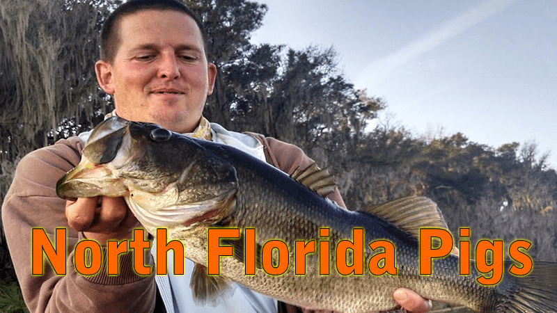 Searching For Quality Rodman Reservoir North Florida Largemouth Bass Fishing 1 Searching For Quality Rodman Reservoir North Florida Largemouth Bass Fishing
