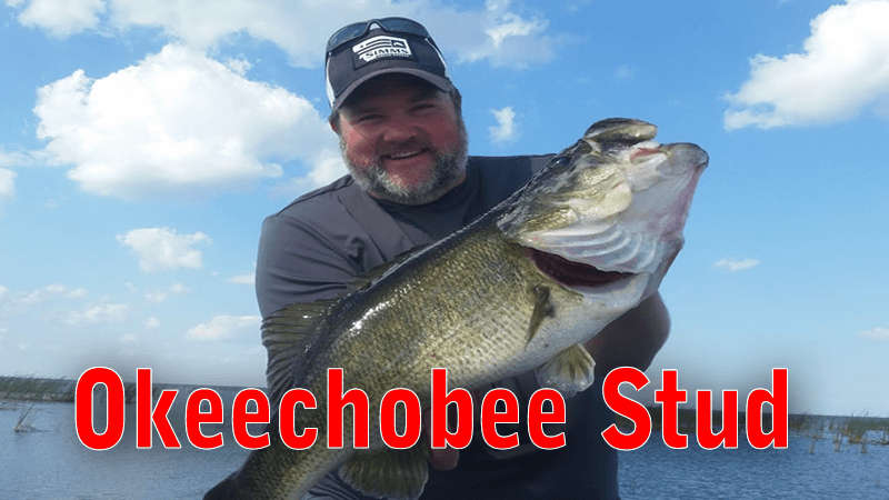 Catching Stud Largemouth Bass Out of Slims Fish Camp Lake Okeechobee