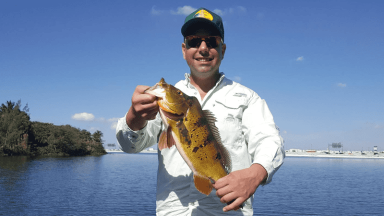 Miami Blue Lagoon Peacock Bass Fishing Excursion with Capt Tony