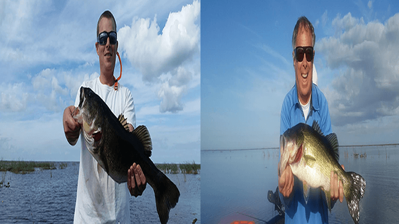 Shiner Frenzy Largemouth Bass Fishing Lake Okeechobee