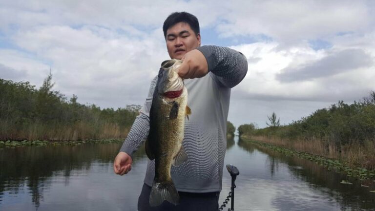 Everglades Largemouth Bass Fishing Action with Capt Tony