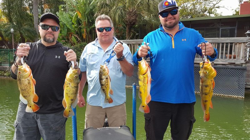 Colorado Natives Fishing Peacock Bass Blue Lagoon South Florida