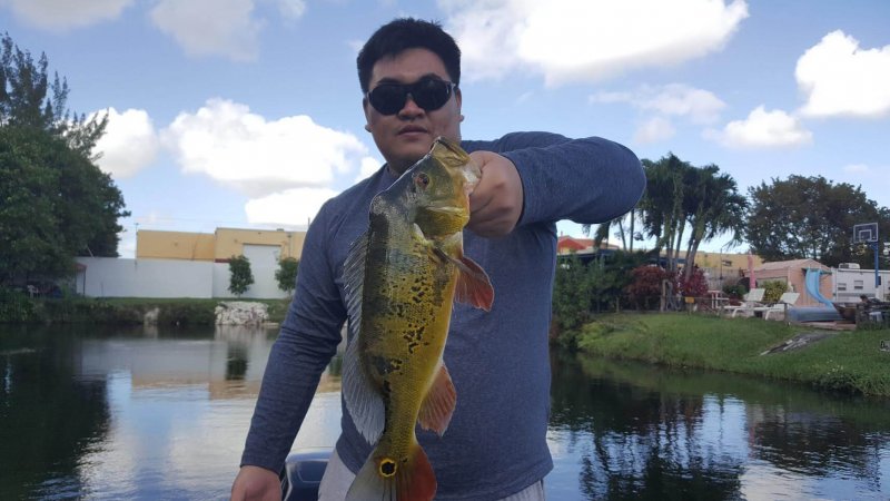 Blue Lagoon Miami Park Peacock Bass Fishing