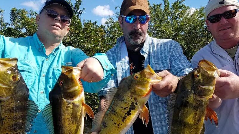 Capt Wayne With The Lake Ida Fishing Report