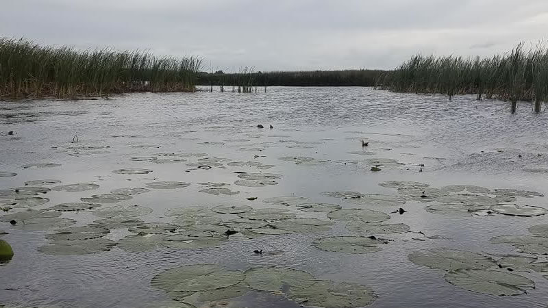 Bass fishing On Okeechobee After The Cold Front