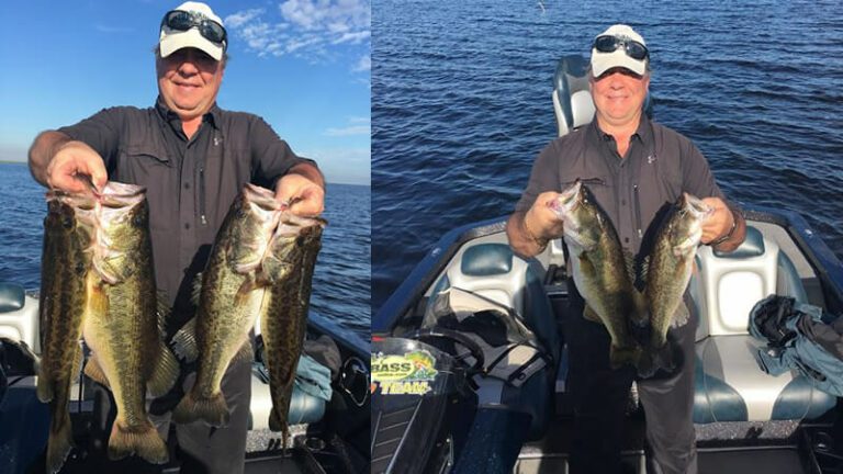 Catching Bass Using Spinner Baits On The West Side Of The Lake - 7 Top Spinnerbait Fishing for Bass Tips and Tactics Revealed