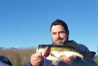Eagle Picks up Dinner on Lake Toho