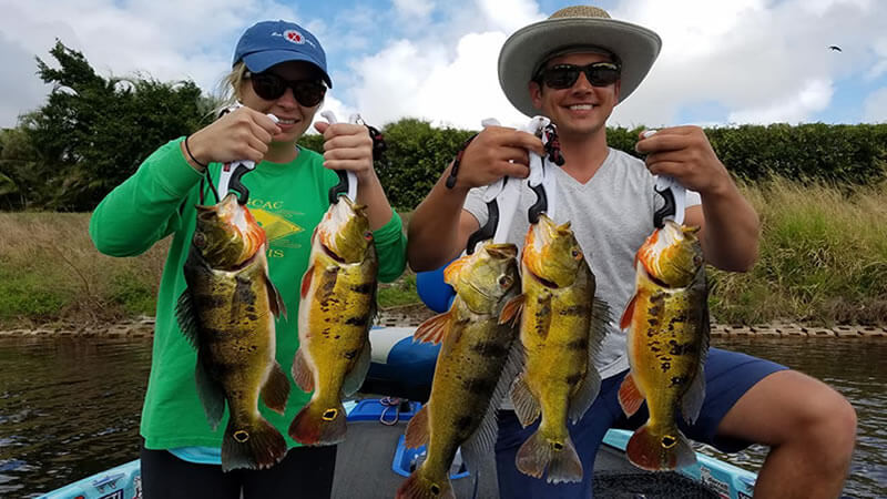 Strong Bite Out On Lake Ida
