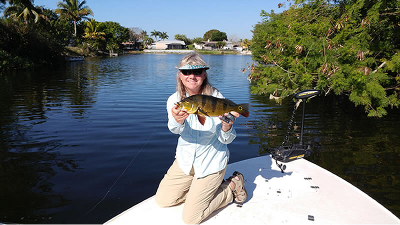 Naples Florida Peacock Bass Fly Fishing Adventure 1 Peacock Bass Fly Fishing Adventure