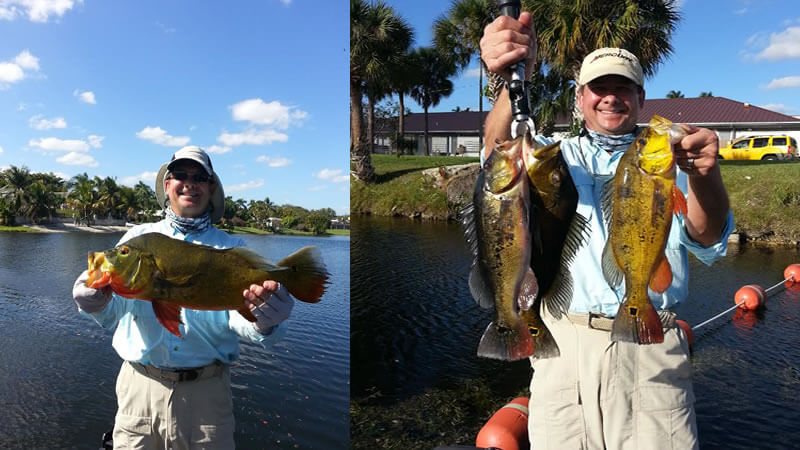 Peacock Bass Fishing Charter